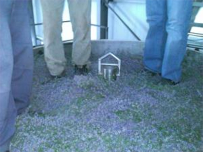 levantashop xorafi therismos6