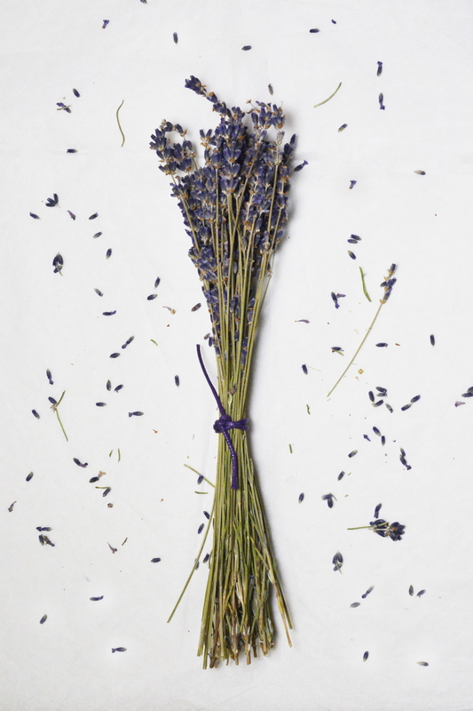 αποξηραμενη λεβαντα