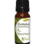 αιθέριο έλαιο ευκάλυπτος
