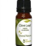 αιθέριο έλαιο φύλλο κανέλα