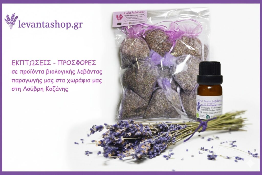 εκπτωσεις προσφορες levantashop 1